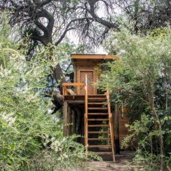 La Casa del Arbol, en San Marcos Sierras, Córdoba.