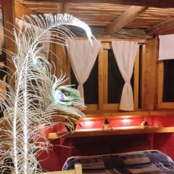 La Casa del Arbol, en San Marcos Sierras, Córdoba.