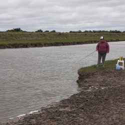 Aunque los rindes del guía se dieron en inmediaciones a Dolores, es posible dar con buenas capturas aguas arriba hasta inmediaciones al puente 80. 