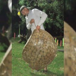 El litoral entregó varios de sus trofeos en la última semana.