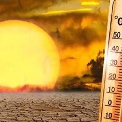 En 2024 se registran niveles de calor sin precedentes en la historia de la humanidad.