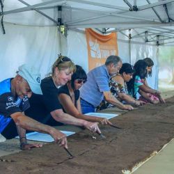 La 13° Fiesta de la Torta Negra  se hará en Tapalqué a mediados de enero.