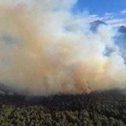 El fuego sigue arrasando con todo lo que encuentra a su paso. 