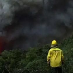 Decenas de brigadistas luchan para tratar de apagar los focos ignífugos activos.