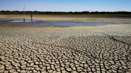 Alerta por la crisis de agua en el mundo.