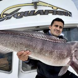 Embarcarse al mar es una gran oportunidad para ir por una pesca segura y, en muchas ocasiones, en cortos tiempos.