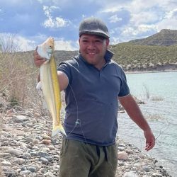 Los lagos de San Rafael vienen entregando muy buenas capturas de pejerreyes (Foto: Agua del Toro Pesca)