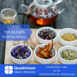Academia Quadrivium: Transformando la educación en salud y bienestar | Foto:CEDOC