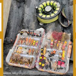 Caja de moscas para pescar en el Lago N° 4, y las más rendidoras. 