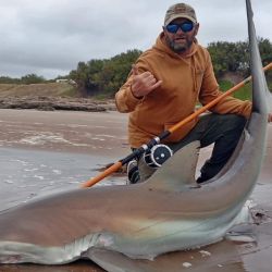 Tras ser marcado, el ejemplar volvió sano y salvo a las aguas del océano atlántico. 