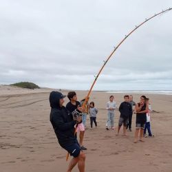 Tras ser marcado, el ejemplar volvió sano y salvo a las aguas del océano atlántico. 