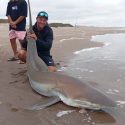 Tras ser marcado, el ejemplar volvió sano y salvo a las aguas del océano atlántico. 