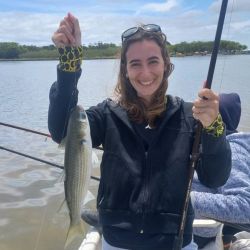 En la playa, el gran condicionamiento pasa por la presencia de algas, fue casi imposible pescar en muchos puntos de la costa bonaerense. 