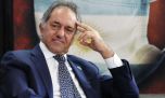 Scioli en modo campaña: en busca de ser senador porteño