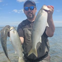 Una línea de 5 boyas con 5 anzuelos es suficiente para pescarlas, junto al peceto o panza de la propia lisa coloreada de rojo.