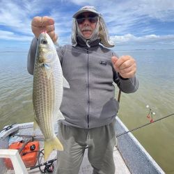 Una línea de 5 boyas con 5 anzuelos es suficiente para pescarlas, junto al peceto o panza de la propia lisa coloreada de rojo.