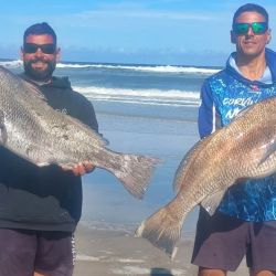 Estas primeras jornadas no han sido de una excelente pesca por cantidad, pero al menos dos o tres cañas por campamento tuvieron respuesta. 