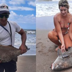 Estas primeras jornadas no han sido de una excelente pesca por cantidad, pero al menos dos o tres cañas por campamento tuvieron respuesta. 
