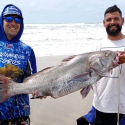 Estas primeras jornadas no han sido de una excelente pesca por cantidad, pero al menos dos o tres cañas por campamento tuvieron respuesta. 