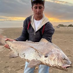 Estas primeras jornadas no han sido de una excelente pesca por cantidad, pero al menos dos o tres cañas por campamento tuvieron respuesta. 