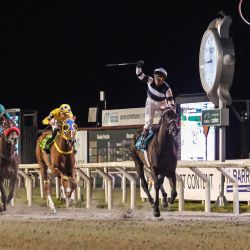 Fotografía difundida por la agencia de noticias Adhoc que muestra al jockey argentino Gustavo Calvente celebrando sobre el caballo argentino El Kodigo al cruzar la línea de meta para ganar el Gran Premio Ramírez en el Hipódromo Nacional de Maroñas en Montevideo, Uruguay. | Foto:PABLO VIGNALI / adhoc / AFP