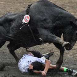Un hombre participa en una corrida de toros durante el festival 'Toros a la Tica' en San José, Costa Rica. | Foto:Ezequiel Becerra / AFP