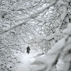 Un peatón camina entre árboles cubiertos de nieve en un parque de Marsden, en el norte de Inglaterra, mientras se prevé que una fuerte nevada en algunas partes de Inglaterra cause trastornos. | Foto:OLI SCARFF / AFP