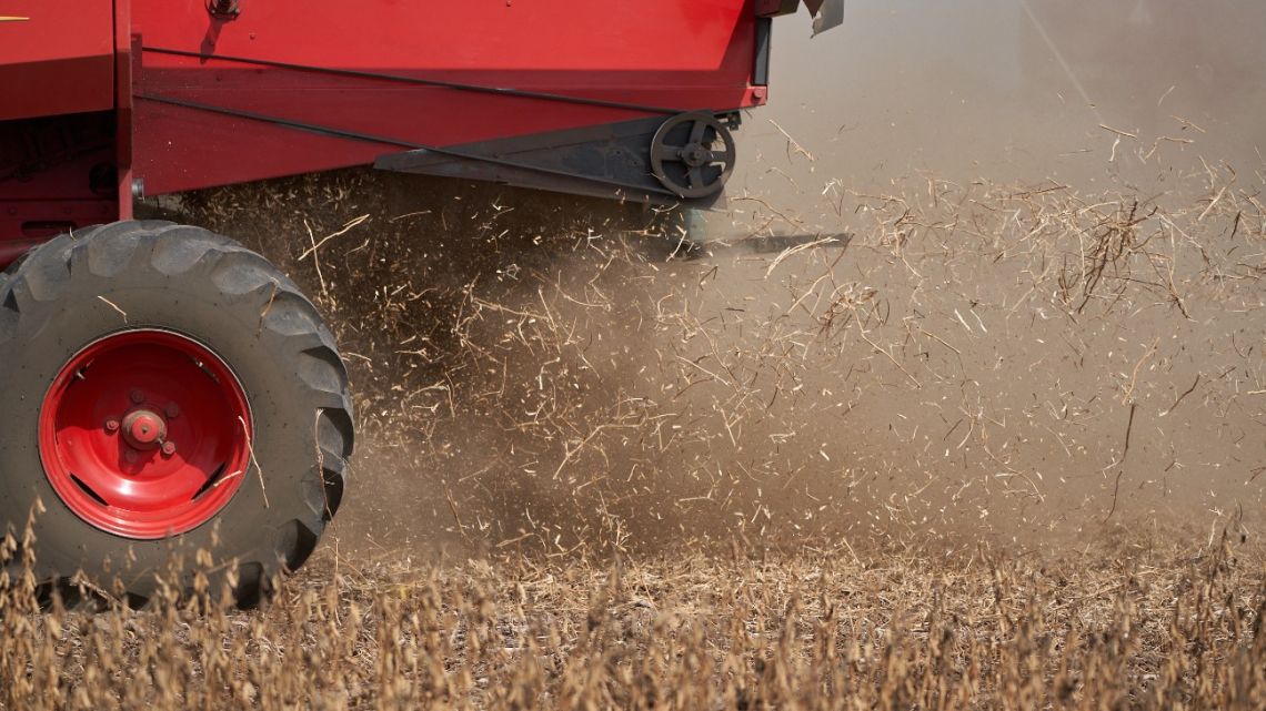 A combine harvester cuts through a field of soybean plants at a drought-affected farm in San José de la Esquina, Argentina in April 2023.