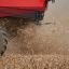Argentina fights to save huge soy exports after Dutch rejections