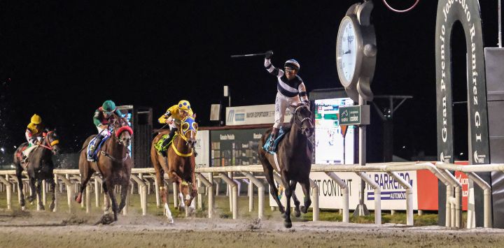 Fotografía difundida por la agencia de noticias Adhoc que muestra al jockey argentino Gustavo Calvente celebrando sobre el caballo argentino El Kodigo al cruzar la línea de meta para ganar el Gran Premio Ramírez en el Hipódromo Nacional de Maroñas en Montevideo, Uruguay.