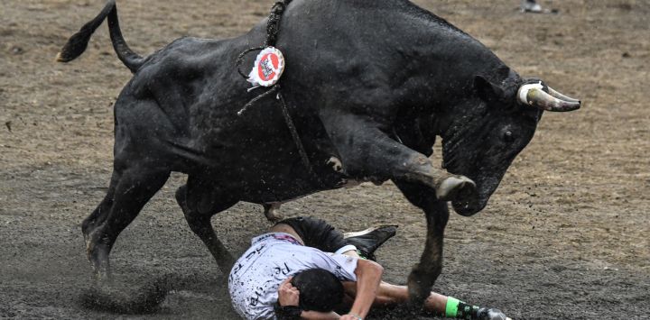 Un hombre participa en una corrida de toros durante el festival 'Toros a la Tica' en San José, Costa Rica.