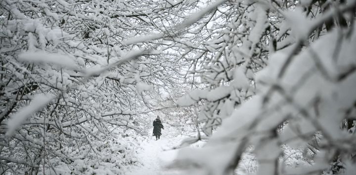 Un peatón camina entre árboles cubiertos de nieve en un parque de Marsden, en el norte de Inglaterra, mientras se prevé que una fuerte nevada en algunas partes de Inglaterra cause trastornos.