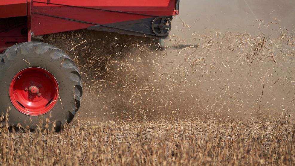 Argentina Soy Crop Forecast Slashed To Smallest On Record