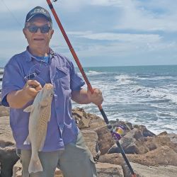 La corvina rubia es la vedette de la temporada, sobre todo en Mar del Plata