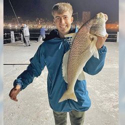 Mar del Plata ofrece gran variedad de lugares para dar con la corvina.