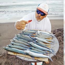La amplitud de la Costa Atlántica también permite dar con buena cantidad de pejerreyes.