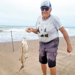 El pez elefante se puede pescar en casi toda costa.