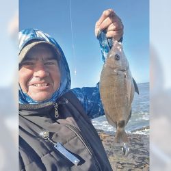 El sargo es una de las pescas predilectas del Balneario Reta.