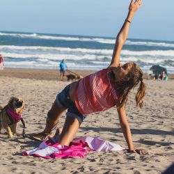 Actividades para compartir con los perros y espacios especiales a lo largo de la costa.