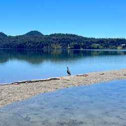 Las playas lacustres de Bariloche son un gran aliado para combatir el calor este verano.