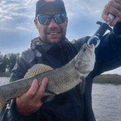 Un ámbito como Monte permite elegir de acuerdo al gusto del pescador y de las condiciones climáticas cual pez tentar. 