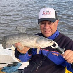Un ámbito como Monte permite elegir de acuerdo al gusto del pescador y de las condiciones climáticas cual pez tentar. 
