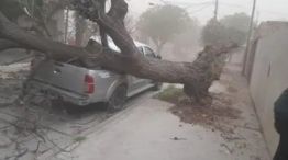 Las postales que dejó el fuerte temporal en San Luis.