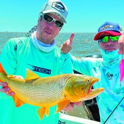 Las dos especies más buscadas en manos del guía Franco Casaccia. Abajo: dorado de buen porte. Derecha: tararira de unos dos kilos. Ambas pescas son muy divertidas.