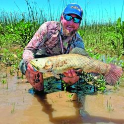 Las dos especies más buscadas en manos del guía Franco Casaccia. Abajo: dorado de buen porte. Derecha: tararira de unos dos kilos. Ambas pescas son muy divertidas.