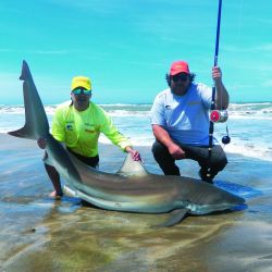 El sueño de muchos hecho realidad con bacotas y cazones en las playas de la zona del faro.