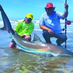 El sueño de muchos hecho realidad con  bacotas (foto) y cazones en las playas de la zona del faro. Para no fallar es fundamental el asesoramiento de un guía que conozca el área. En el caso de Germán Rigane, cuenta además con un vehículo 4x4 para ingresar a la playa. 