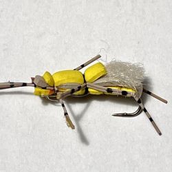 Arcoíris del Futaleufú pescada vadeando con una Striptease oliva con agregado de una cuenta de plástico en el tippet simulando una ova. Y Pablo pescando los drop offs de la laguna Larga desde el bote