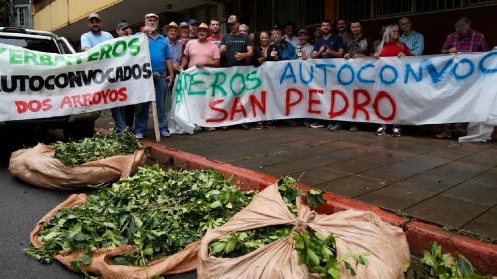 Los productores yerbateros convocaron a una asamblea en la localidad de San Pedro, en Misiones. 