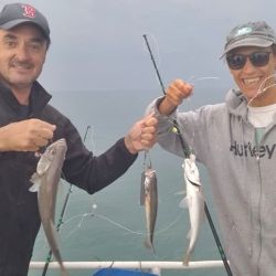 1001_mapa_pique_pesca